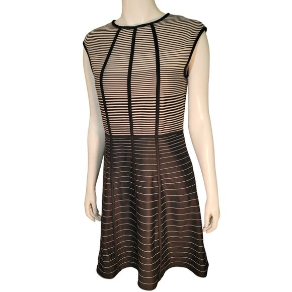 Sandra Darren Graphic Stripe Fit & Flare Dress 10 Sleeveless Balletcore Swiftie - Picture 4 of 9